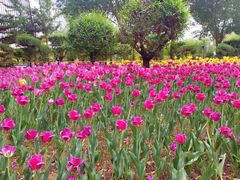 -长春公园(普阳街道)