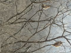 android_upload_pic-云台山风景名胜区