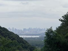 -韬光茶庵