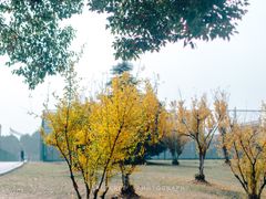 -南京工程学院(江宁校区)