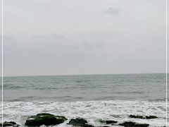 -盐洲岛