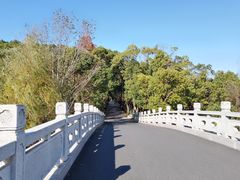 -同里国家湿地公园