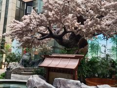 -嘉悦汗蒸时代(曙光路店)