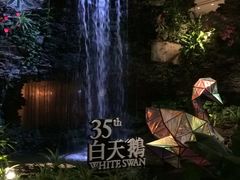 -白天鹅宾馆·流浮阁咖啡厅