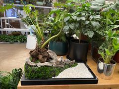 -金陵花卉交易市场