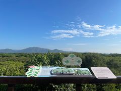-福田红树林生态公园