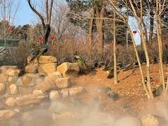 -无锡动物园·太湖欢乐园