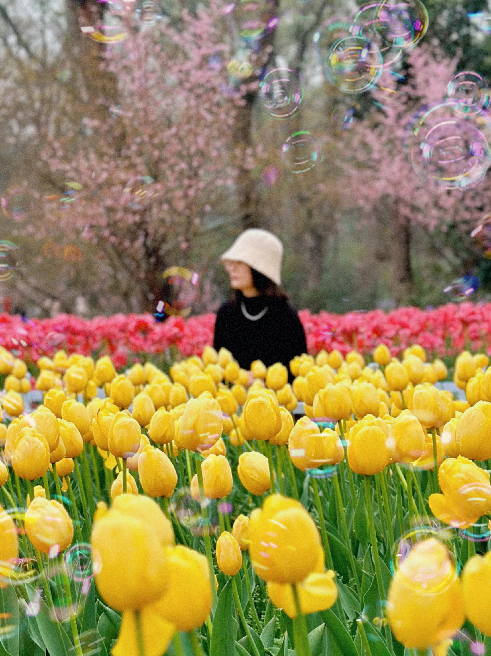 南京赏花路线