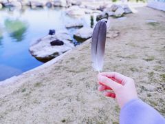 -西昌邛海宾馆