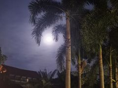 -三亚海棠湾万丽度假酒店