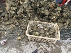-蚝专家(北滘店)