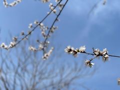 -三里河公园