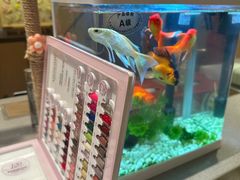 -海底捞火锅(武胜路凯德广场店)