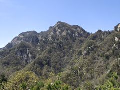 -王顺山国家森林公园