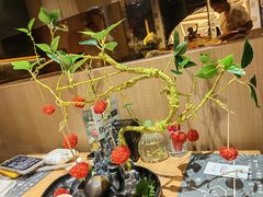 -一朵菌·野生菌探索家火锅(南亚店)