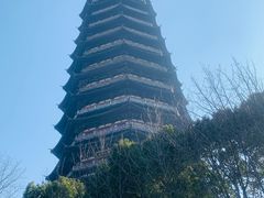 -红梅公园
