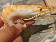 -松咖啡自助餐厅·松北香格里拉