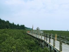 -北海金海湾红树林生态旅游区