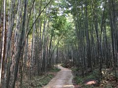 -天花井景区