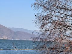 -爱我旅拍婚纱摄影(大理店)