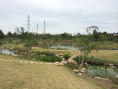 -上海长兴岛郊野公园