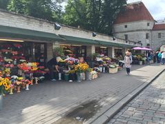 iphone_upload_pic-塔林历史中心