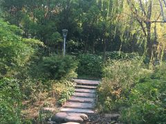 -新江湾城公园