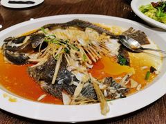 -郑庄脂渣海鲜楼(九水路店)