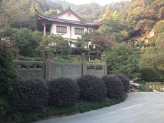 -十八棵（老龙井）御茶园(老龙井店)