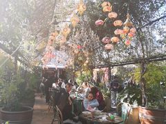 -The Grounds of Alexandria