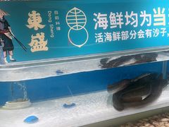 -東盛炭烤自助料理(玄武招商花园城店)