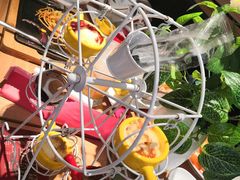 -豪客来牛排(商汇人和广场店)