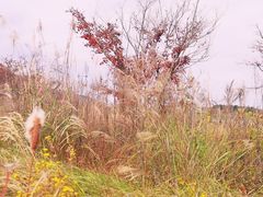 -云漫湖生态度假公园