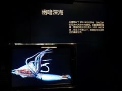 -同济大学四平路校区深海探索馆