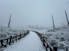 -瓦屋山景区