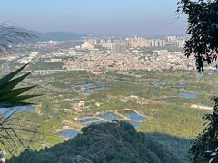 -鼎湖山风景区