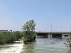 -绿堤公园