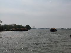 -溱湖国家湿地公园