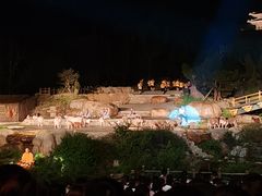 -禅宗少林·音乐大典