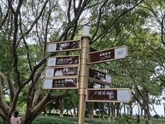 -江心屿景区