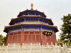 -中国唐苑