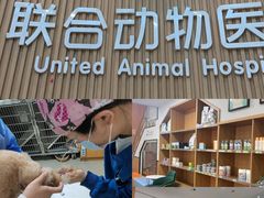 -联合动物医院(光谷诊疗中心)