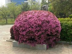 android_upload_pic-汤湖公园