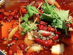 -川堂风·跷脚牛肉·乐山爆炒(宝山日月光店)