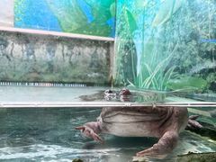 -上海大自然野生昆虫馆