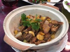 花雕鸽-伯乐居茶艺馆(石岐大信店)