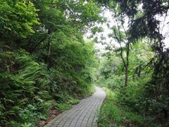 -敬亭山风景名胜区