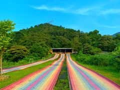 -南丹山森林王国