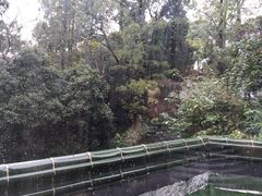 -杭州林泉山庄