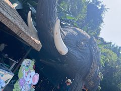 -野象谷景区